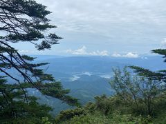 -瓦屋山景区