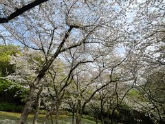-中国茶叶博物馆(双峰馆区)