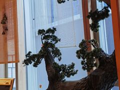 -文三酒肆自助放题(新街口友谊广场店)