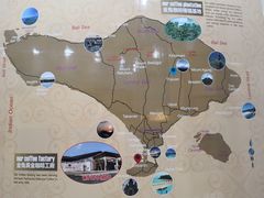 -巴厘岛黄金金兔咖啡工厂