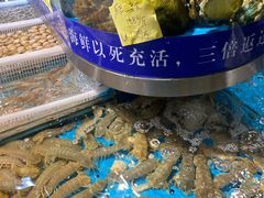 -蓝珊瑚蒸汽海鲜餐厅(龙奥店)