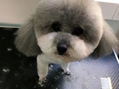 -北京恒爱动物医院(清景园分院)