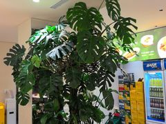 -枕水江南(浑南店)