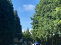 -山王坪喀斯特国家生态公园