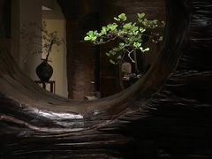 -见山茶事(丽水路店)