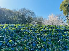 -苏州上方山国家森林公园