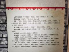 -叶赫那拉城