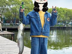 -新怡路亚垂钓园