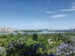 -张坝桂圆林公园