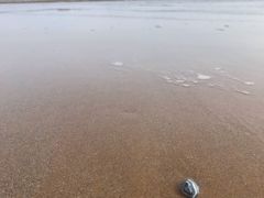 -青岛银沙滩