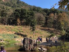 -广州市石门国家森林公园