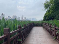 -南宁南湖公园