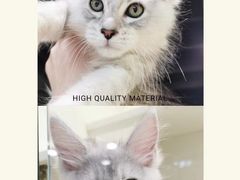-十年猫舍·猫咪专门店(普陀店)