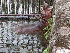 -海南热带野生动植物园