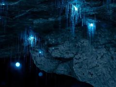 -怀托摩萤火虫洞