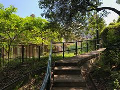 -香港大学