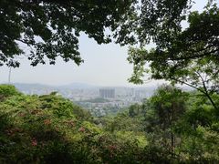 -沙河粉村·国家非遗传承(云台店)