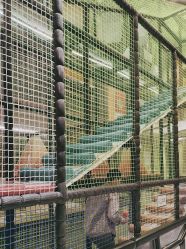 -MELAND CLUB亲子乐园·派对·餐厅(北京芳圆里ID MALL店)