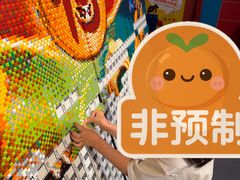 -上海乐高探索中心
