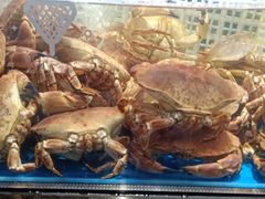 -盒马鲜生(公园1903店)