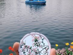 -莫愁湖公园
