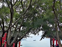-白帝城·瞿塘峡景区