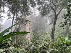 -西双版纳基诺山寨