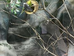 -秦皇岛新澳海底世界