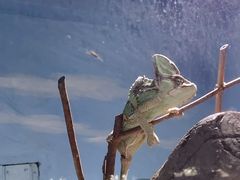 -石家庄市动物园