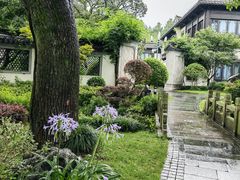 -杭州西湖柳莺里酒店·闻莺厅