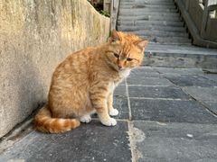 -终南山南五台景区