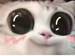 -十三陵雪世界滑雪场