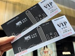 -WFC会仙楼观景台