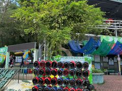 -芦仙山景区-飞越丛林探险乐园