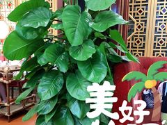 -点都德(德江楼店)