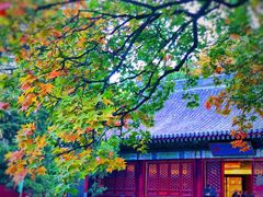 -香山公园