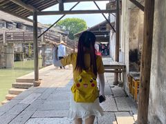 -乌镇东栅景区