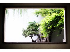 -杭州植物园