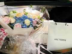 -ARC'TERYX始祖鸟(北京王府中环店)
