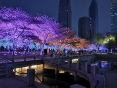 -西北湖绿化广场