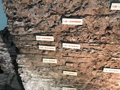 -南越王博物院(王宫展区)