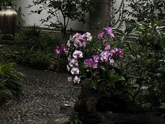 -广州兰圃