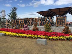 -上海长兴岛郊野公园