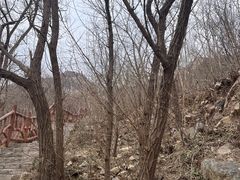 -北京凤凰岭