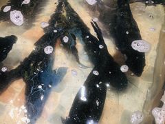 -边江铁锅炖鱼(振八街店)