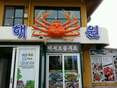 android_upload_pic-龙头岩(Dragon Head Rock)