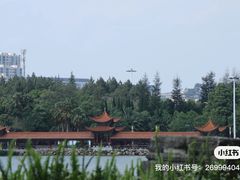-洛龙公园