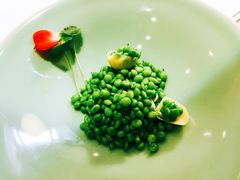 -西郊5号·Maggie 5