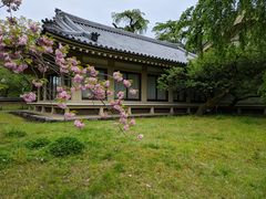 -醍醐寺