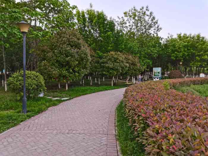 项城公园-"侄女说公园有灯展,于是就晚上八点多就跟侄.